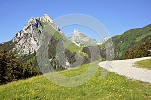 The Dent dÃ¢â¬â¢Oche mount in France